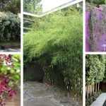 Don’t toss out your coffee grounds. Here are 10 brilliant ways to reuse them in your garden