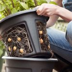 Light the Bay Leaf – After 10 Minutes You’ll Feel the Difference!