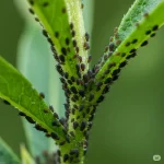 Why Sleeping on Your Left Side Could Improve Your Health