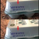 When and How to Prune Hydrangeas? The Plant Will Explode with Flowers!