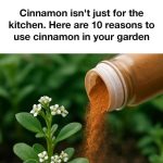 What is the hole in the pen caps for?