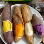 Rosemary: A Potent Bacteria Killer and Intestinal Cleanser