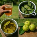 A Complete Guide To Pruning Cucumbers (Suckers & Flowers)