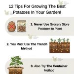 Summer Bucket List For Kids With Printable