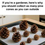 BEST RECIPE for Stuffed Seafood Bread Bowl