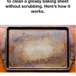 10 Clever Ways to Reuse Lemon Seeds at Home