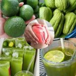 DIY Natural Air Freshener & Repellent: A Refreshing Homemade Solution