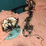 15 best Garden hacks That Will Give You An Instant Green Thumb