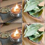 The 9 Bathroom Plants That Absorb Moisture, Eliminate Mold, and Don’t Need Light