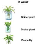 Stunning Raised Garden Beds To Enhance Your Landscaping