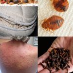 Sauce Stains on Clothes? Grab This Ingredient to Fix Them in a Jiffy: It’s in the Fridge