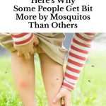 Want Fuller Hydrangeas? Here’s the Gardener’s Trick You Need for Lush Blooms Year After Year