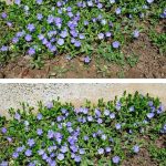 Don’t discard old garden pots. Here are 10 innovative ways to repurpose them in your outdoor space