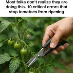 How to Build a Backyard Waterfall