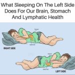 Aphids Are Afraid of This Like Fire! The Best Natural Aphid Remedy Without Chemicals