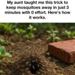 The Powerhouse in Your Herb Garden: Unpacking the Claims About Thyme