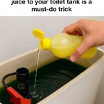 Top 12 Health Benefits of Calendula officinalis