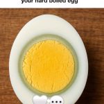 Large antique wooden table featuring 12 built-in bowls. Purchased in the Netherlands, dating back to 1893. Anyone know what this is for?