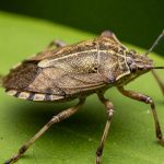 One Tablespoon in the Morning: A Natural Remedy for Frequent Constipation