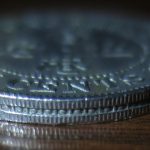 7 Reasons Why You Shouldn’t Kill Purslane in Your Garden