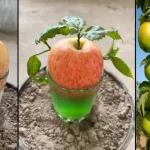 Corn Silk: 30 Health Benefits and How to Use It