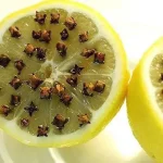 Stop Throwing Away Empty Toilet Rolls: 7 ways To Reuse them Again in the Garden