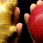 Strong and luxuriant rosemary, the gardener’s tip to ensure longevity of more than 10 years