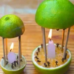 Once You Learn This, You Will Never Throw Avocado Pit Away