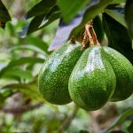 10 DIY Mini Backyard Water Pond Containers