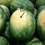 8 Unexpected Yet Genius Ways To Use A Microwave