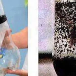 Discover the array of benefits that come with boiling a few sprigs of rosemary—soon, you won’t want to go without it