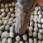 Put This in Your House for 1 Hour, and You Will Never See Flies, Mosquitoes, or Cockroaches Again