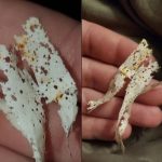 How do you clean and shine a tile?