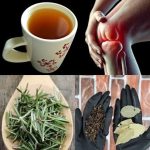 11 Best Heat-Tolerant Vegetables For A Thriving Summer Garden