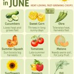 A Well-Known Chef’s Tip: “Stop Adding Milk or Water to Your Mashed Potatoes. This Ingredient Makes Them Creamier Than at the Restaurant!”