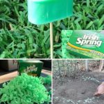 Apply this simple tip at home