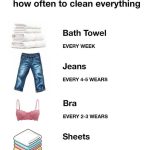 The Incredible Benefits of Plantago lanceolata and How to Use It