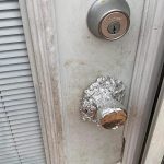 I Never Understood What This Loop on Your Shirt Was For — Until They Showed Me