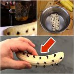 Most people don’t know what the little strings on bananas are for