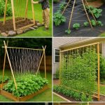 This is what I needed to read