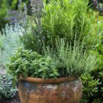 Things You Should Never Plug Into a Power Strip