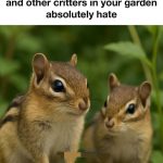 Design Your Garden Perfectly By 10 Edging With Stones Ideas