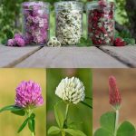 Is It Necessary to Wash Ground Beef Before Cooking