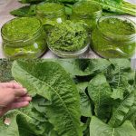 The Amazing Benefits of Sumac and How to Use It