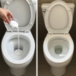 Chelidonium majus L. – The Greater Celandine: Benefits, Uses, and Precautions