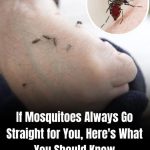 Restore Your Vision, Eliminate Anemia, and Detox Your Liver with This Natural Smoothie