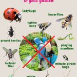 Say Goodbye to Weeds with This Easy Homemade Spray – Here’s the Recipe You Need