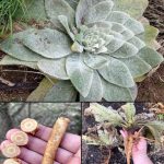 Found Metal Balls Under Your Kitchen Sink? Here’s What They Mean