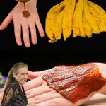 White Clover (Trifolium repens): 15 Benefits and Homemade Uses