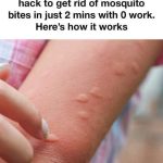 Drinking point for bees DIY